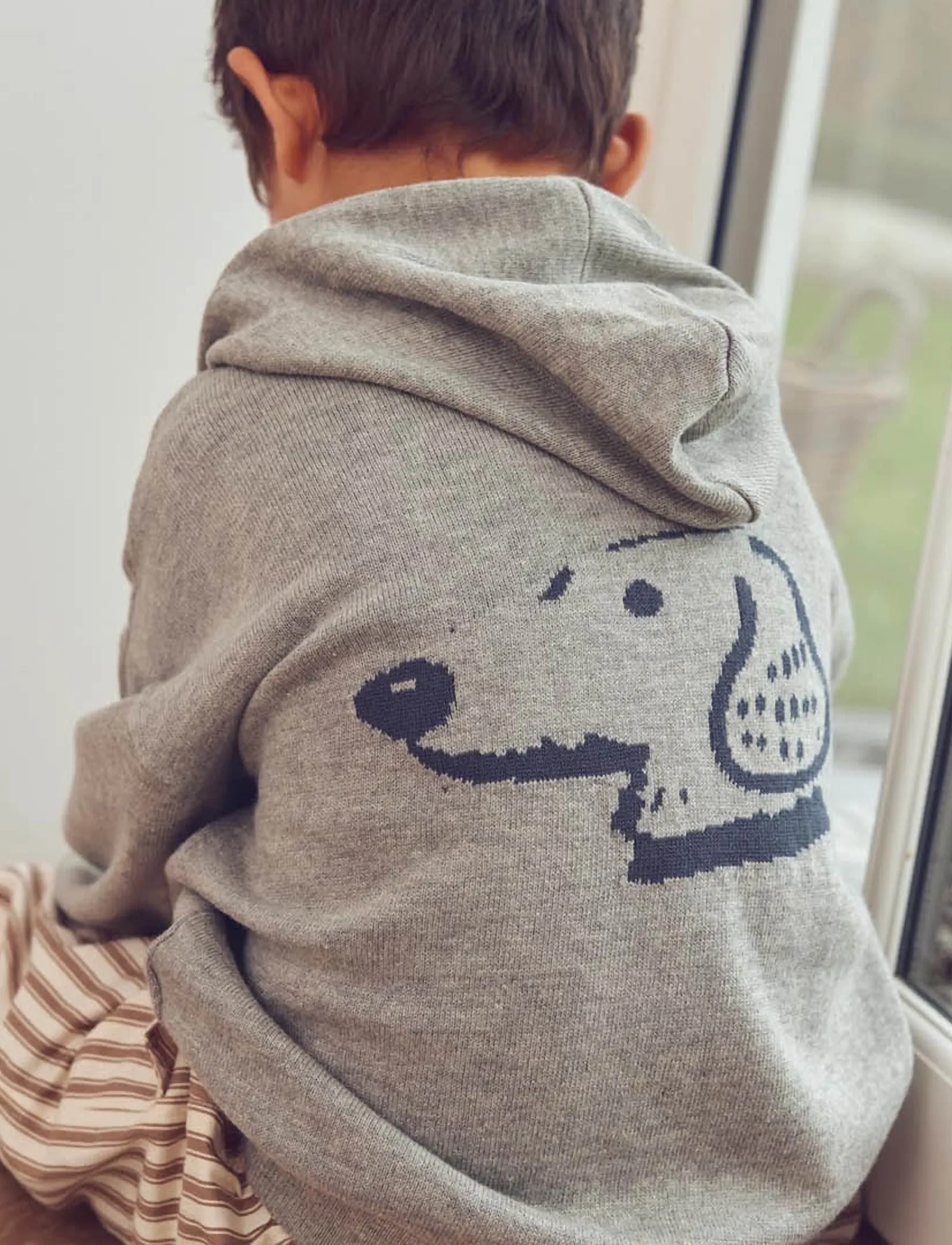 Müsli - Dogs knit hoodie - pale greymarl - 0