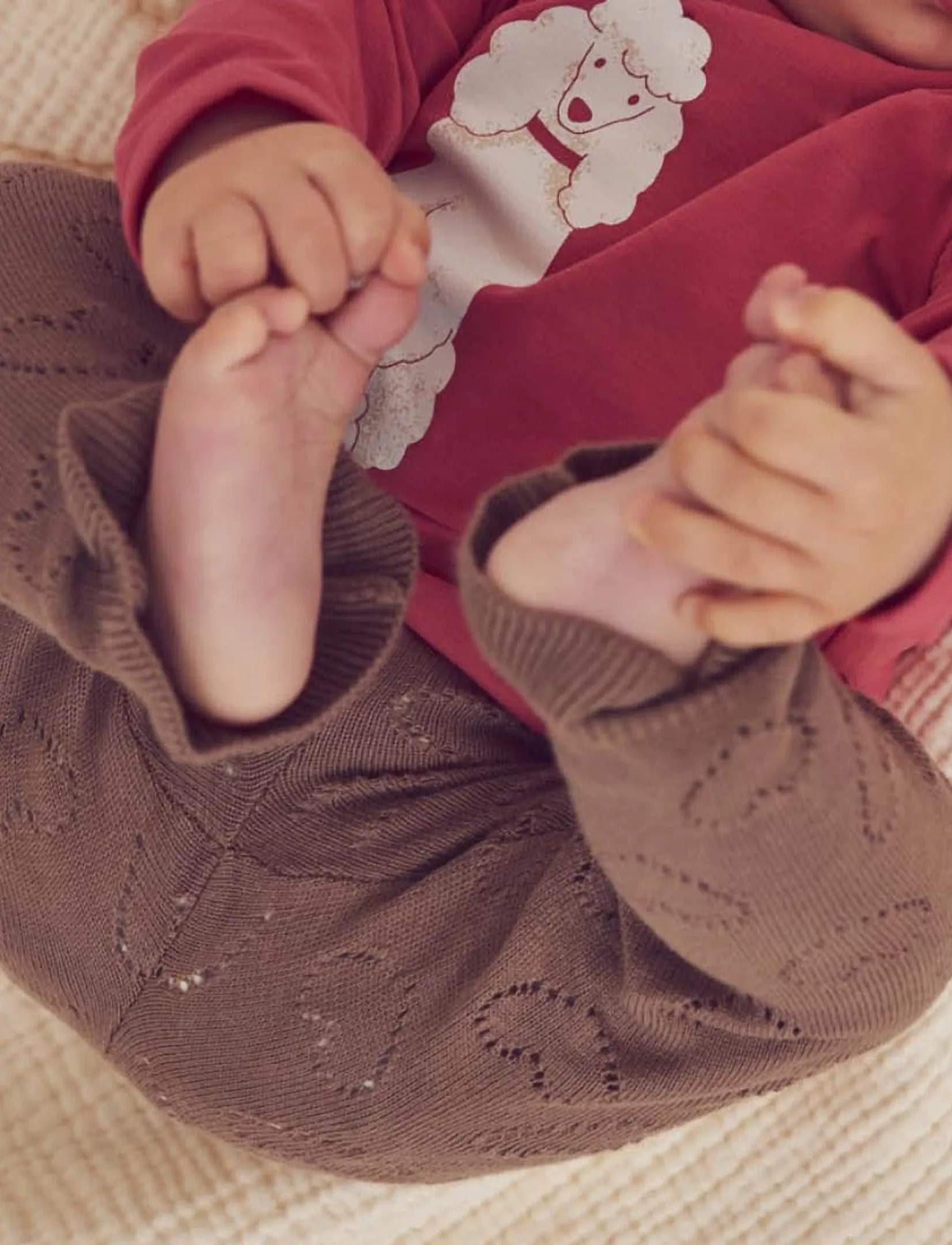 Müsli - Knit pointelle heart pants baby - walnut - 0