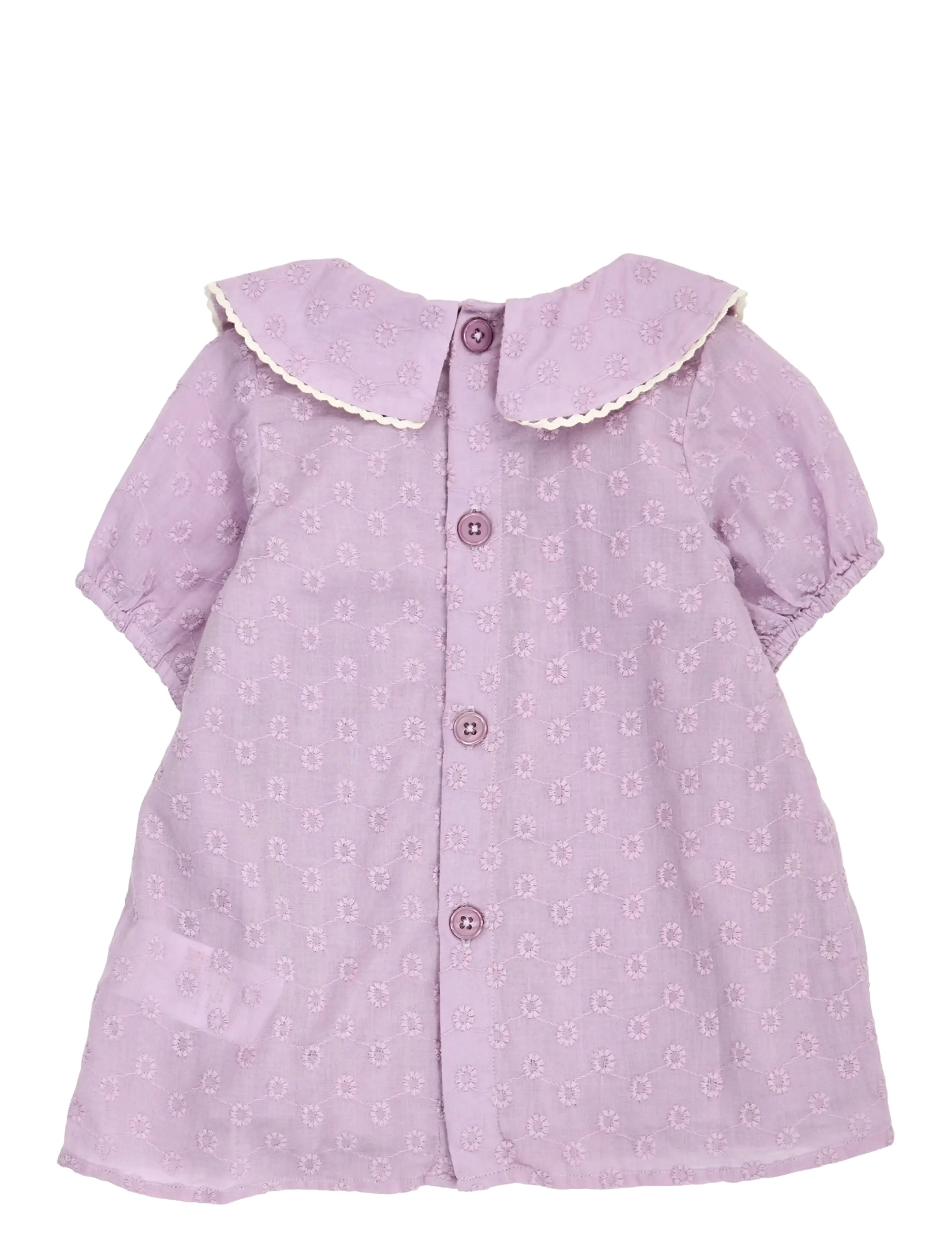 Müsli by Green Cotton - Daisy collar s/s dress baby - robes pour bébés à manches courtes - dream - 1