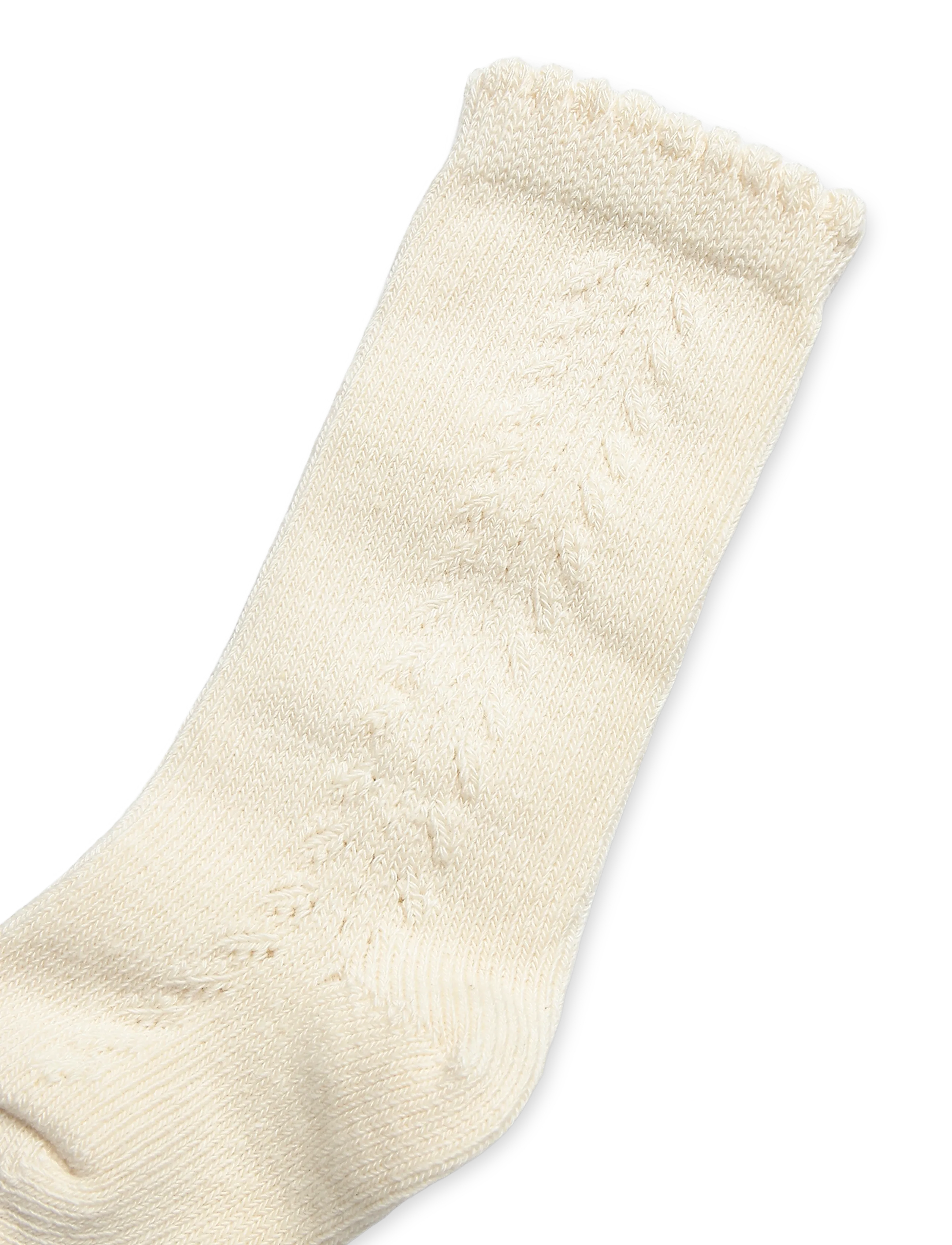 Müsli - Knee Socks Baby - kojinės kūdikiams - oat 013040401 - 2