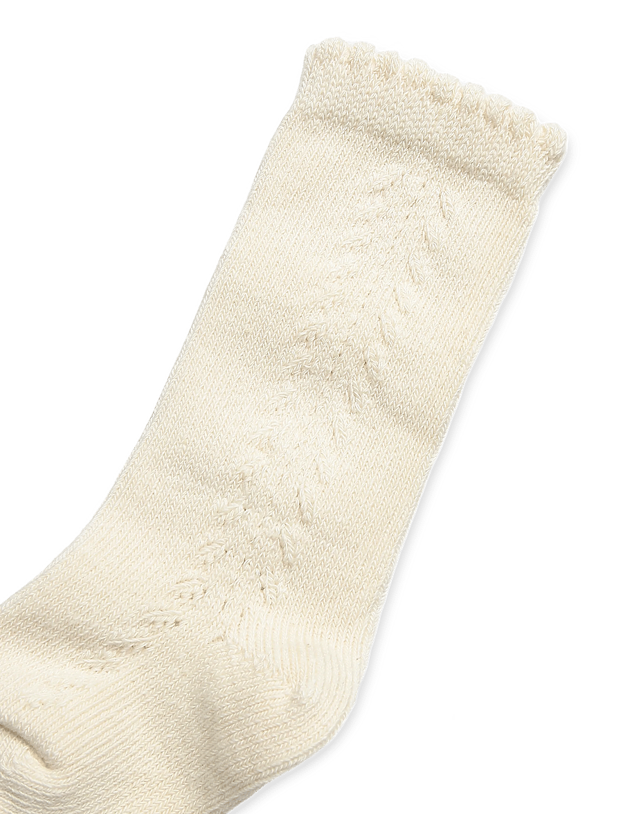 Müsli - Knee Socks Baby - kojinės kūdikiams - oat 013040401 - 2