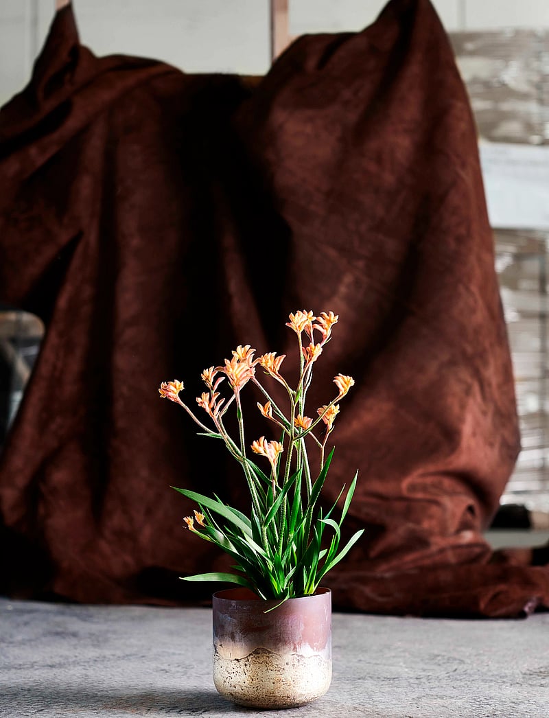 Muubs - Lana - osta hinna alusel - brown/gold - 3