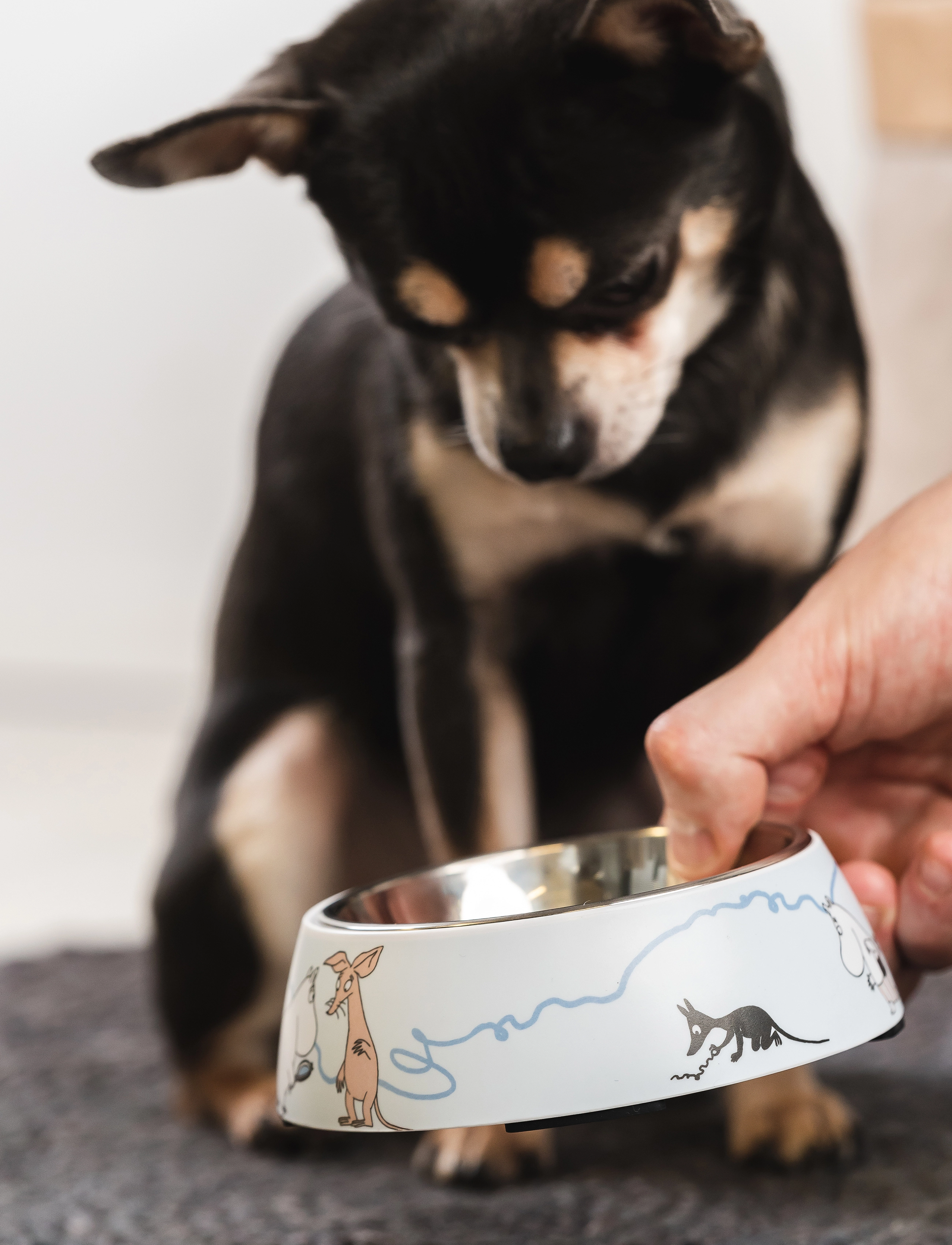 Muurla Moomin For Pets Food Bowl, Ø 13.5 cm, Pets, Blau - Bowls, Homeware