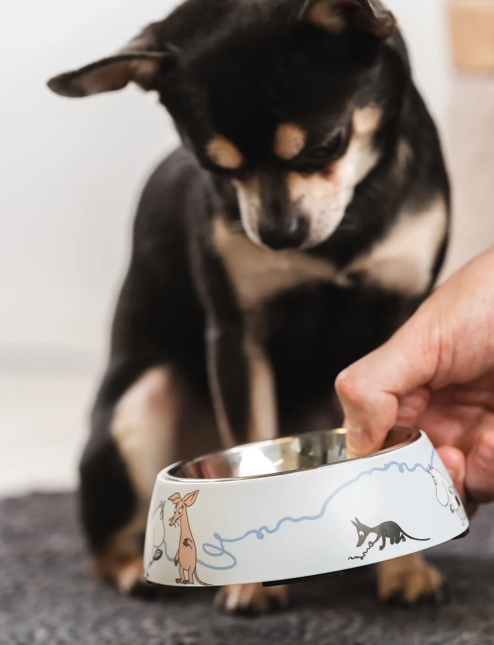 Muurla - Moomin for Pets food bowl - weihnachtsgeschenke - blue - 1