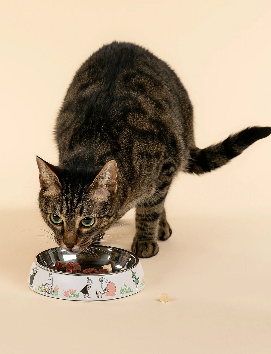 Muurla - Moomin for Pets Cat food bowl, white - white - 4