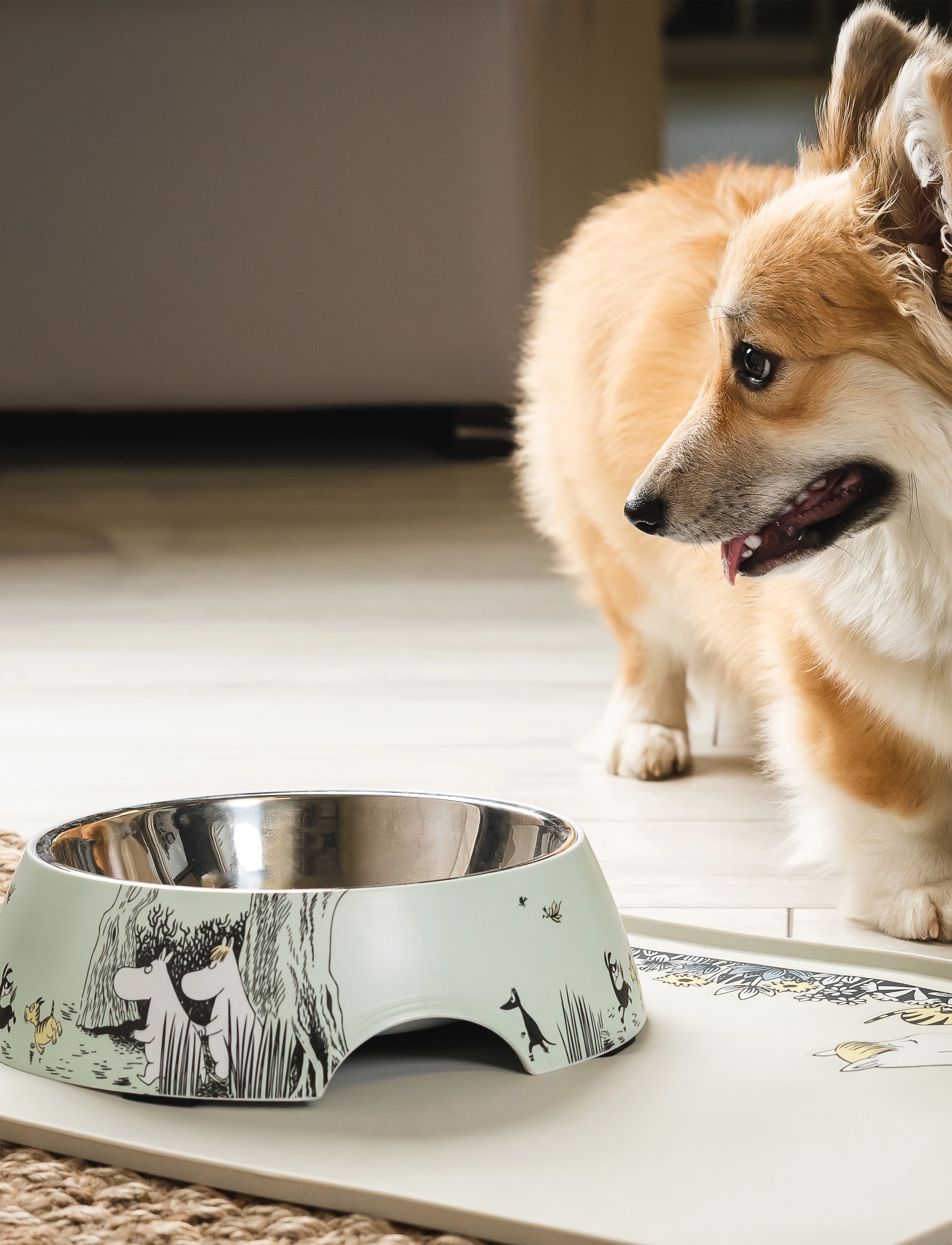 Muurla Moomin For Pets Food Bowl, Ø 27 cm, Pets, Grün - Bowls, Homeware