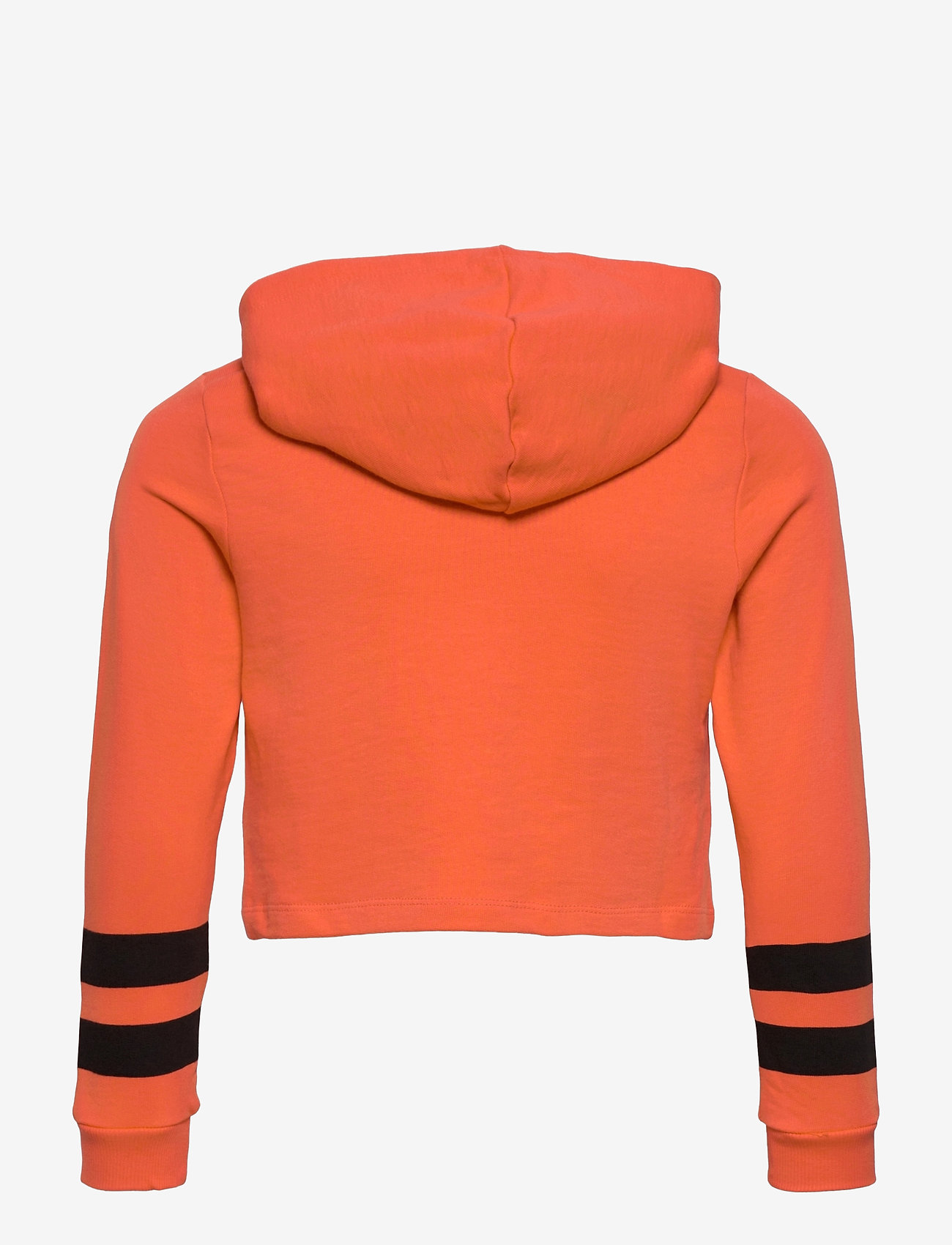 name it - NKFVIALA LS CROPPED SWE  WH UNB K - tigerlily - 1