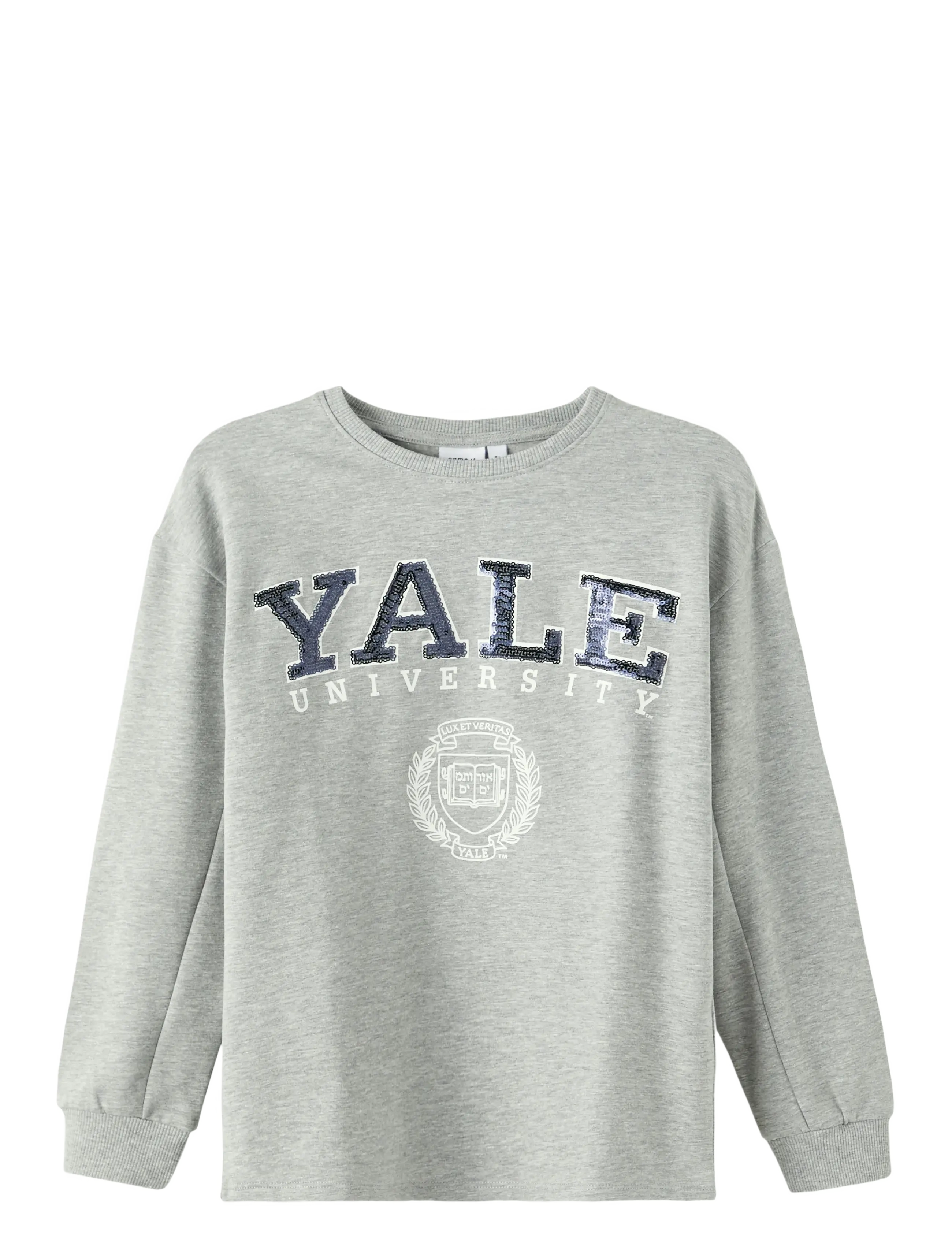 name it NKFAZASSA UNIVERSITY BOXY SWEAT BRU PARK - Basics - GREY MELANGE / grey