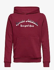 name it - NKFOLASIE SWE W HOOD BRU - kapuzenpullover - cabernet - 0