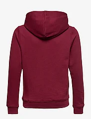 name it - NKFOLASIE SWE W HOOD BRU - kapuzenpullover - cabernet - 1