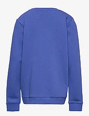 name it - NKFOSIGRID SWE BRU - sportiska stila džemperi - dazzling blue - 1
