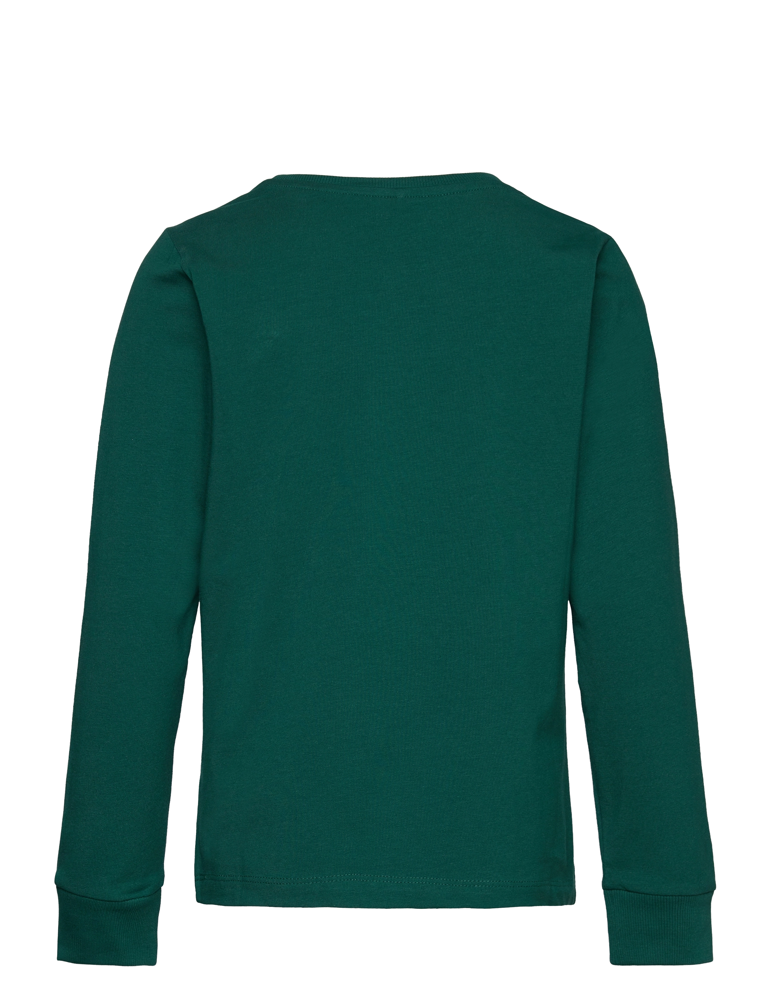 name it - NKMBENN LS TOP - forest biome - 1