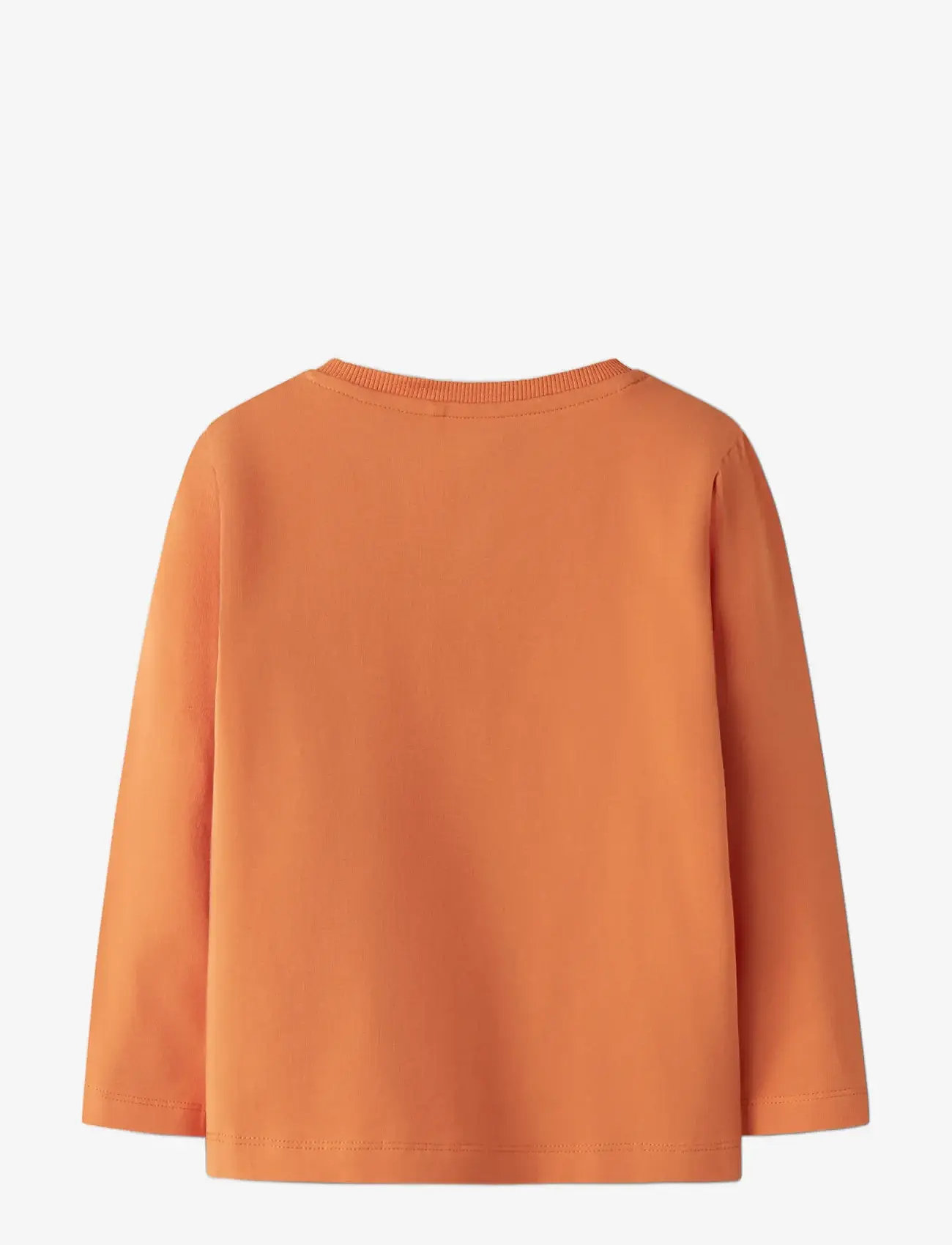 name it - NMMVUX LS TOP - long-sleeved t-shirts - dusty orange - 1