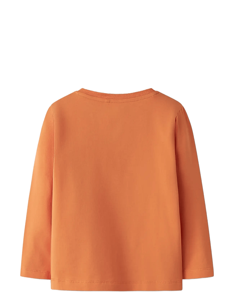 name it - NMMVUX LS TOP - long-sleeved t-shirts - dusty orange - 1