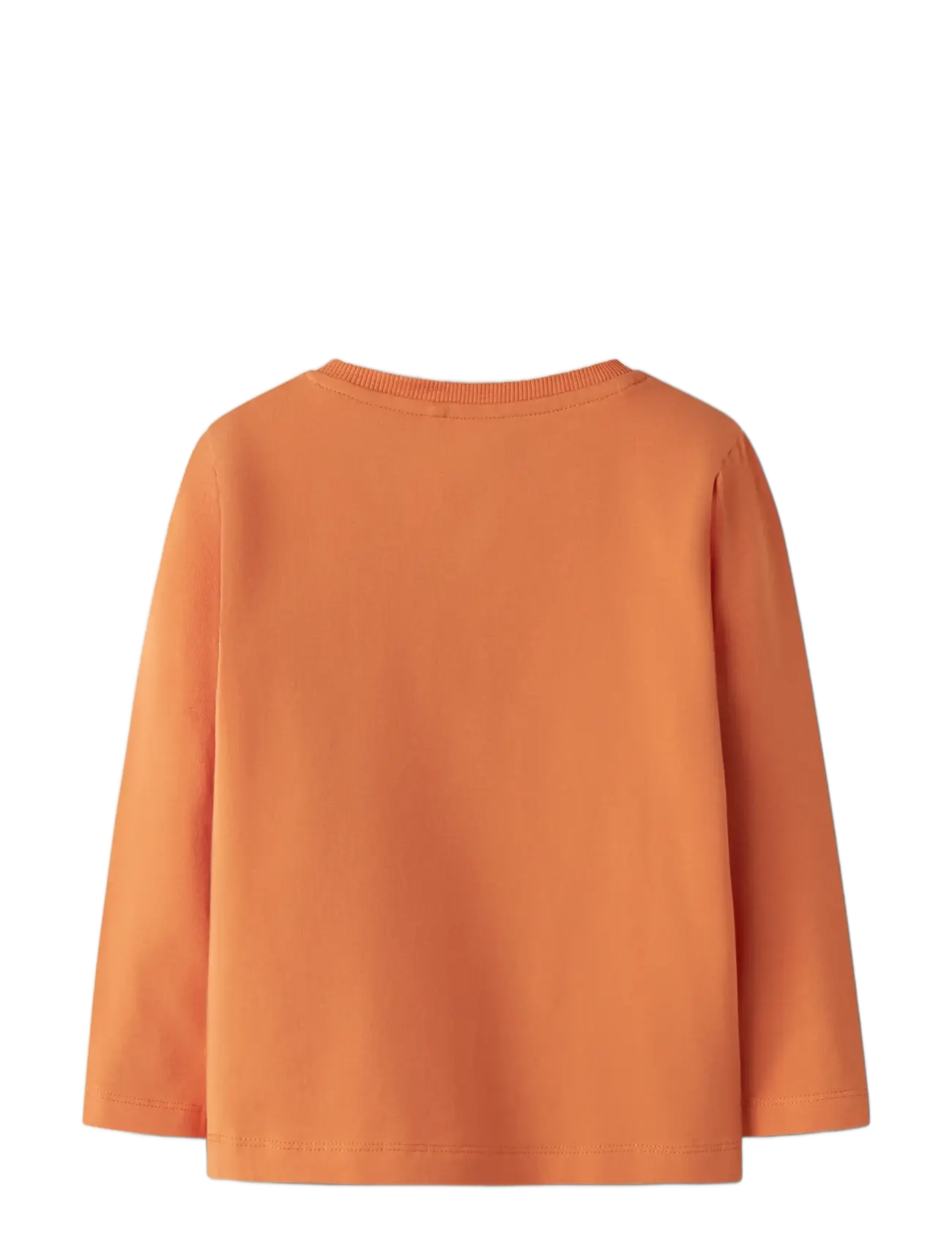 name it - NMMVUX LS TOP - long-sleeved t-shirts - dusty orange - 2