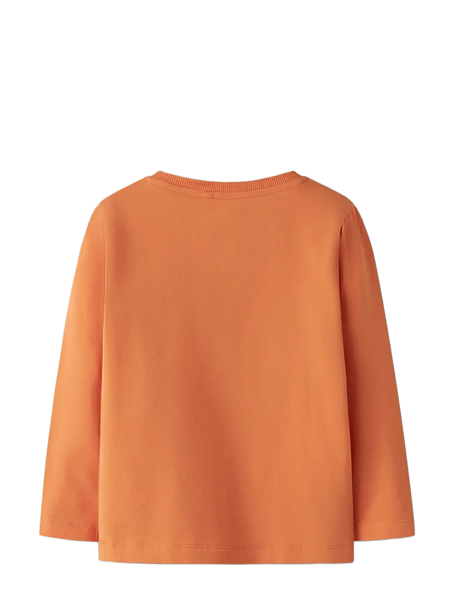 name it - NMMVUX LS TOP - langærmede t-shirts - dusty orange - 2