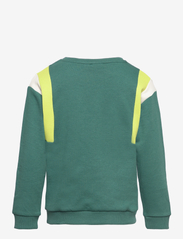 name it - NMMTENNE LS LOOSE SWE BRU PB - sweatshirts - mallard green - 1