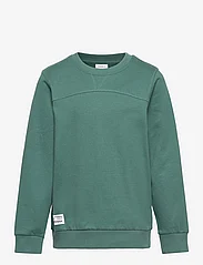 name it - NKMTEON LS SWE BRU PB - sweatshirts - mallard green - 0