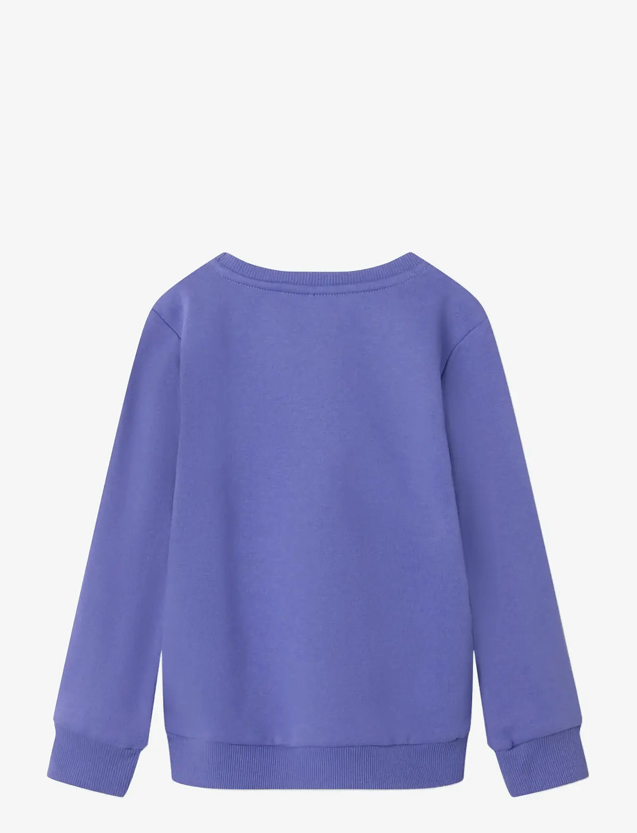 name it - NMFOMIANA LS BRU SWEAT PB - sweatshirts - iris bloom - 1