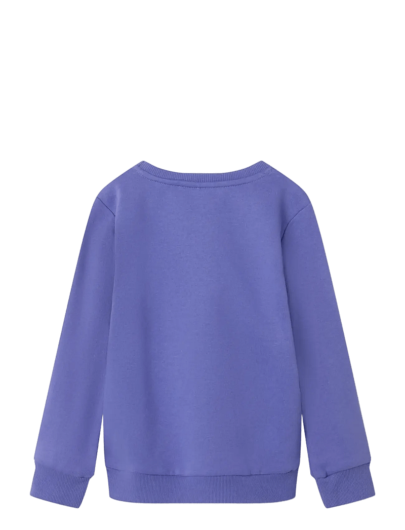 name it - NMFOMIANA LS BRU SWEAT PB - sweatshirts - iris bloom - 1