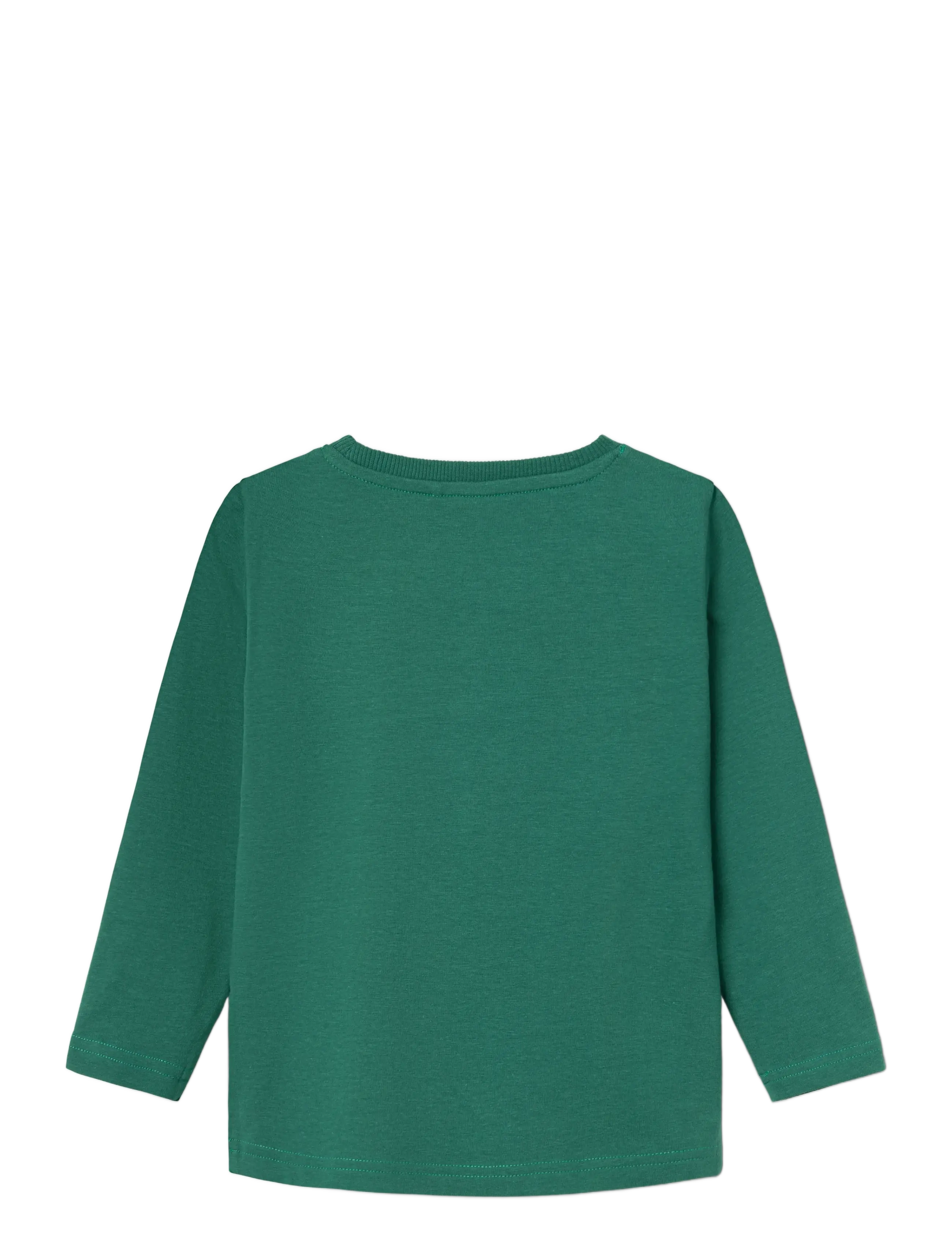 name it - NMMLASSO LS TOP - antique green - 1