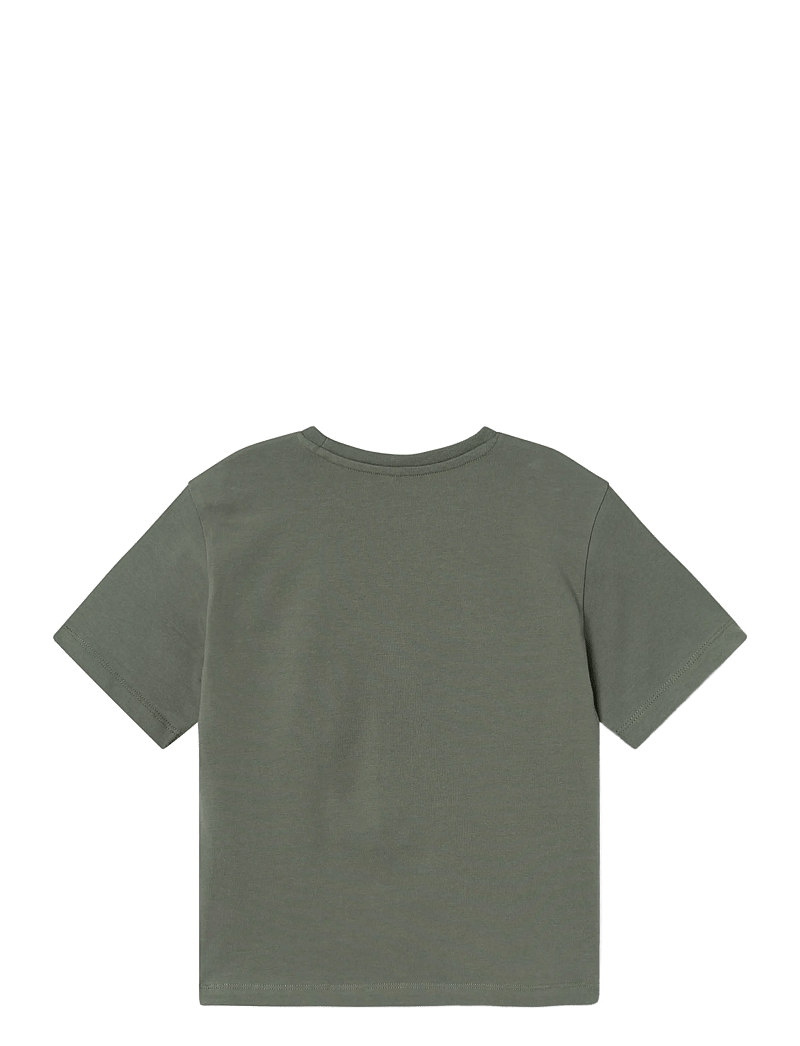 name it - NKMAROS BOREDOFD SS NREG TOP BOX SKY - kurzärmelige - tea leaf - 1