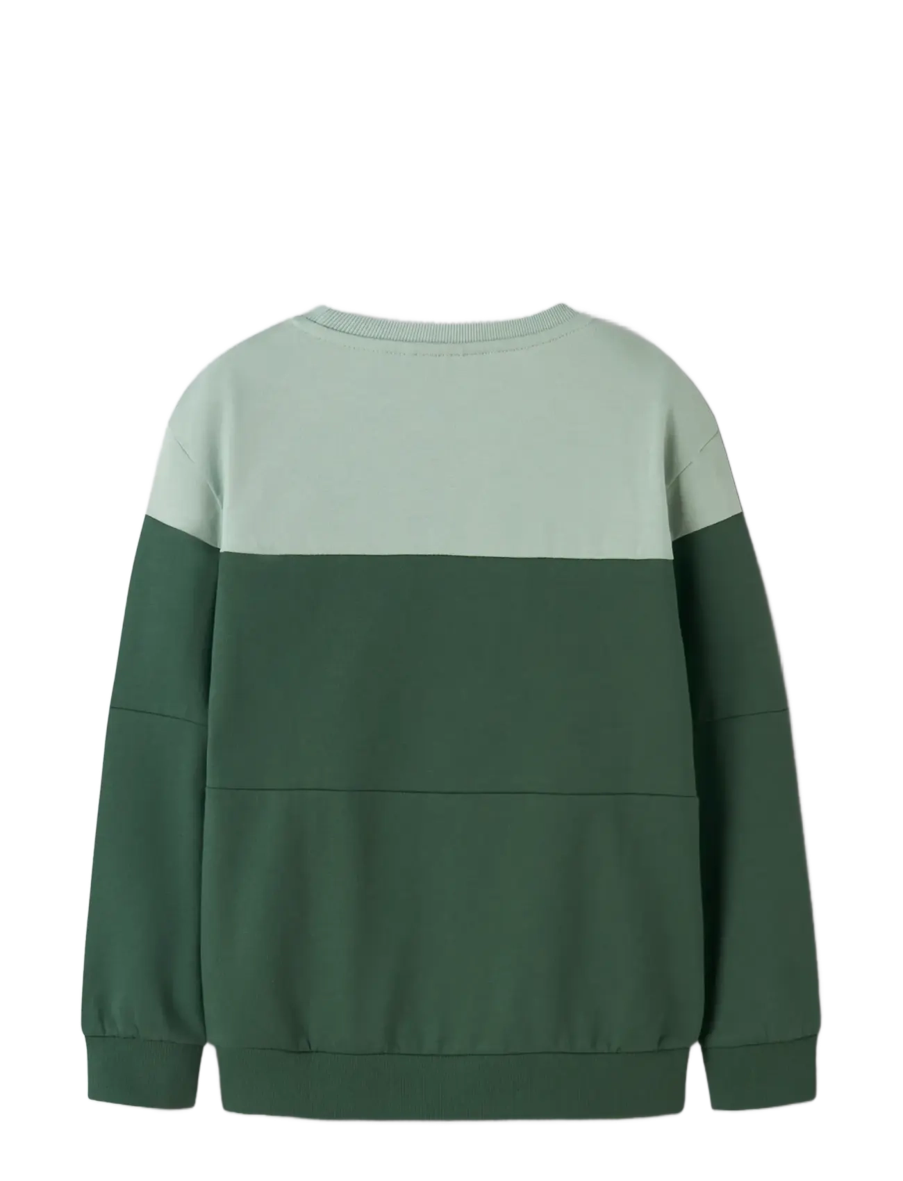 name it - NKMVEMIL LS NREG SWEAT BRU - dressipluusid - garden topiary - 2