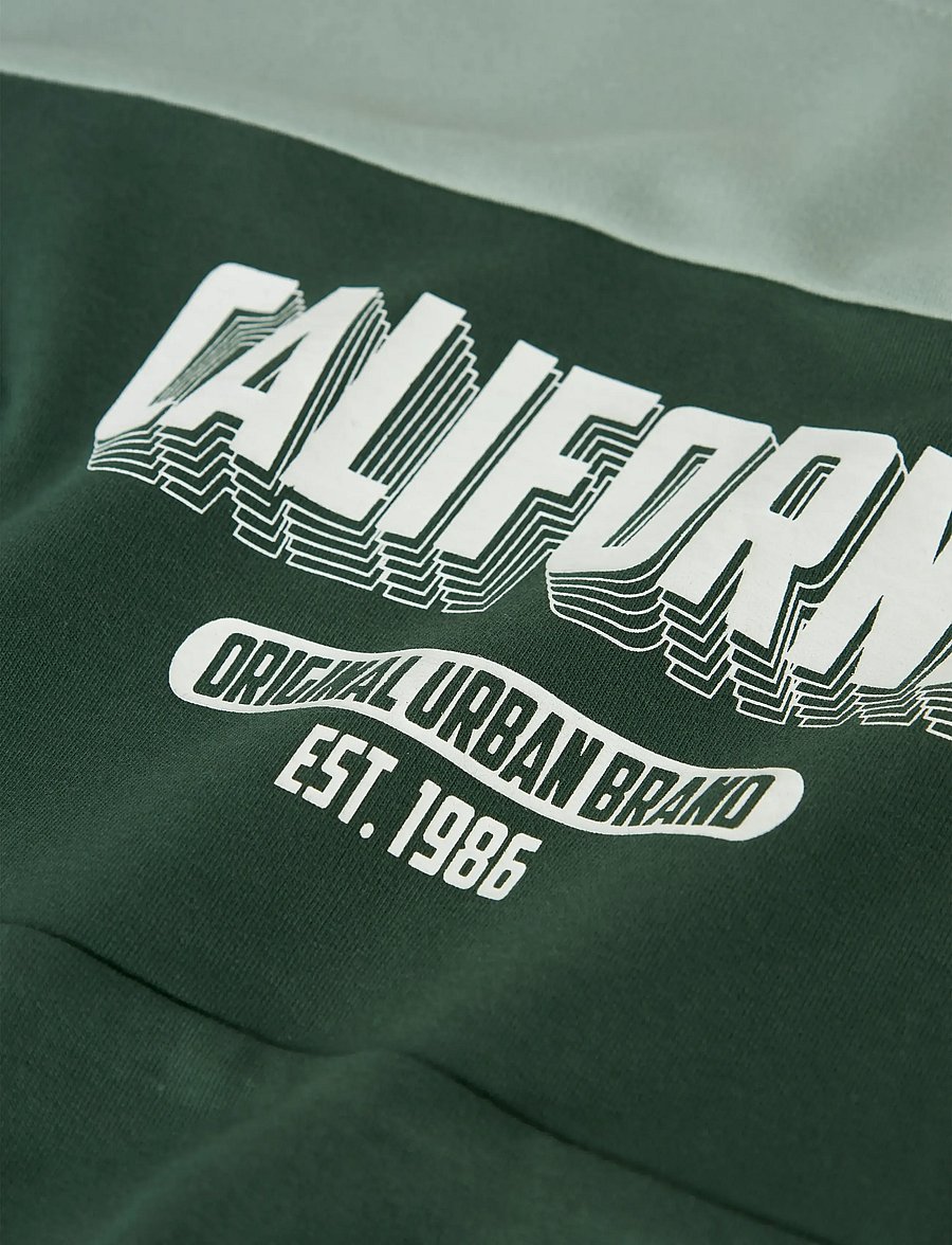 name it - NKMVEMIL LS NREG SWEAT BRU - sweatshirts - garden topiary - 0
