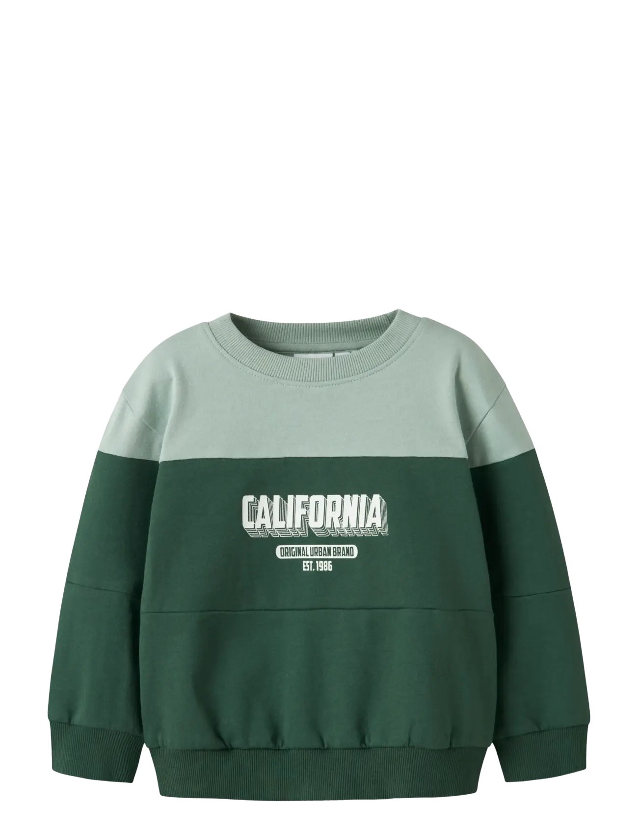 name it - NMMVEMIL LS NREG SWEAT BRU - sweatshirts - garden topiary - 1