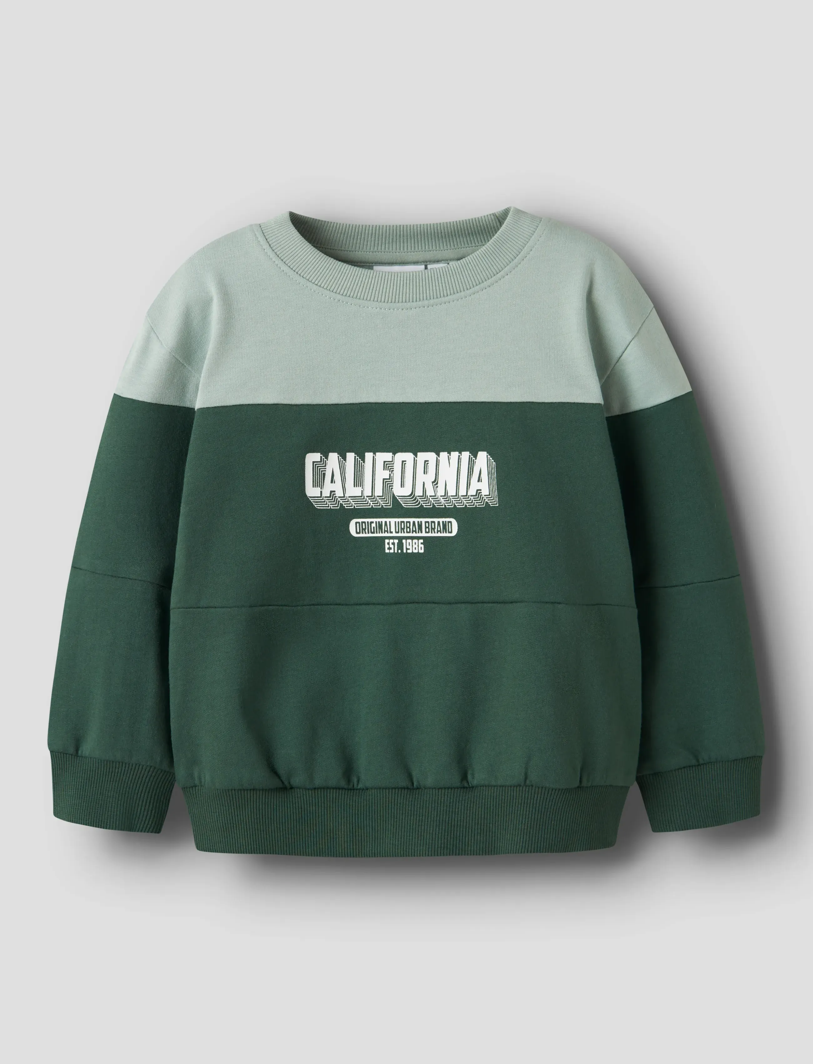 name it NMMVEMIL LS NREG SWEAT BRU - Bluzy - GARDEN TOPIARY / green