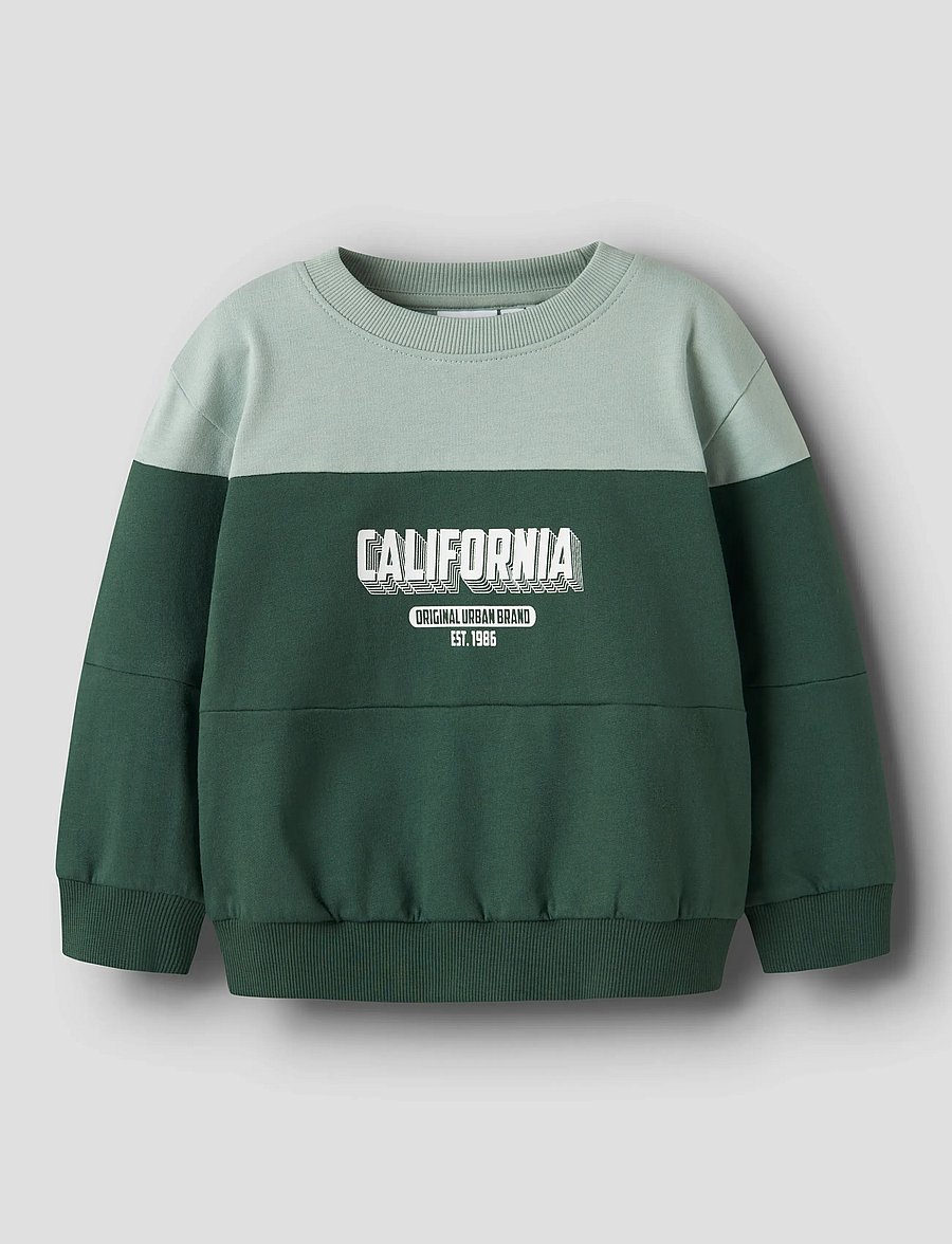 name it - NMMVEMIL LS NREG SWEAT BRU - sweatshirts - garden topiary - 0