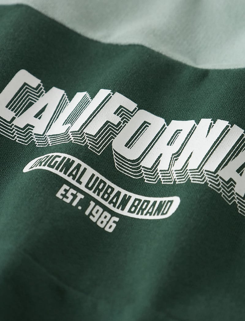 name it - NMMVEMIL LS NREG SWEAT BRU - sweatshirts - garden topiary - 3