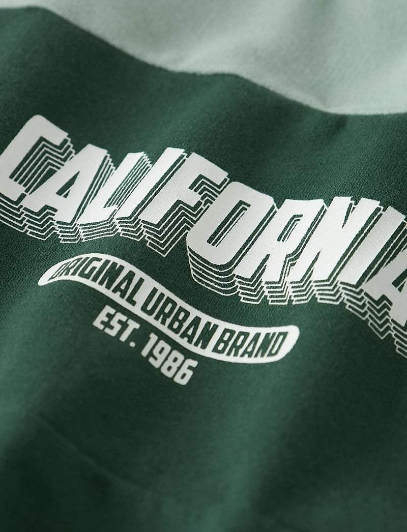 name it - NMMVEMIL LS NREG SWEAT BRU - sweatshirts - garden topiary - 2