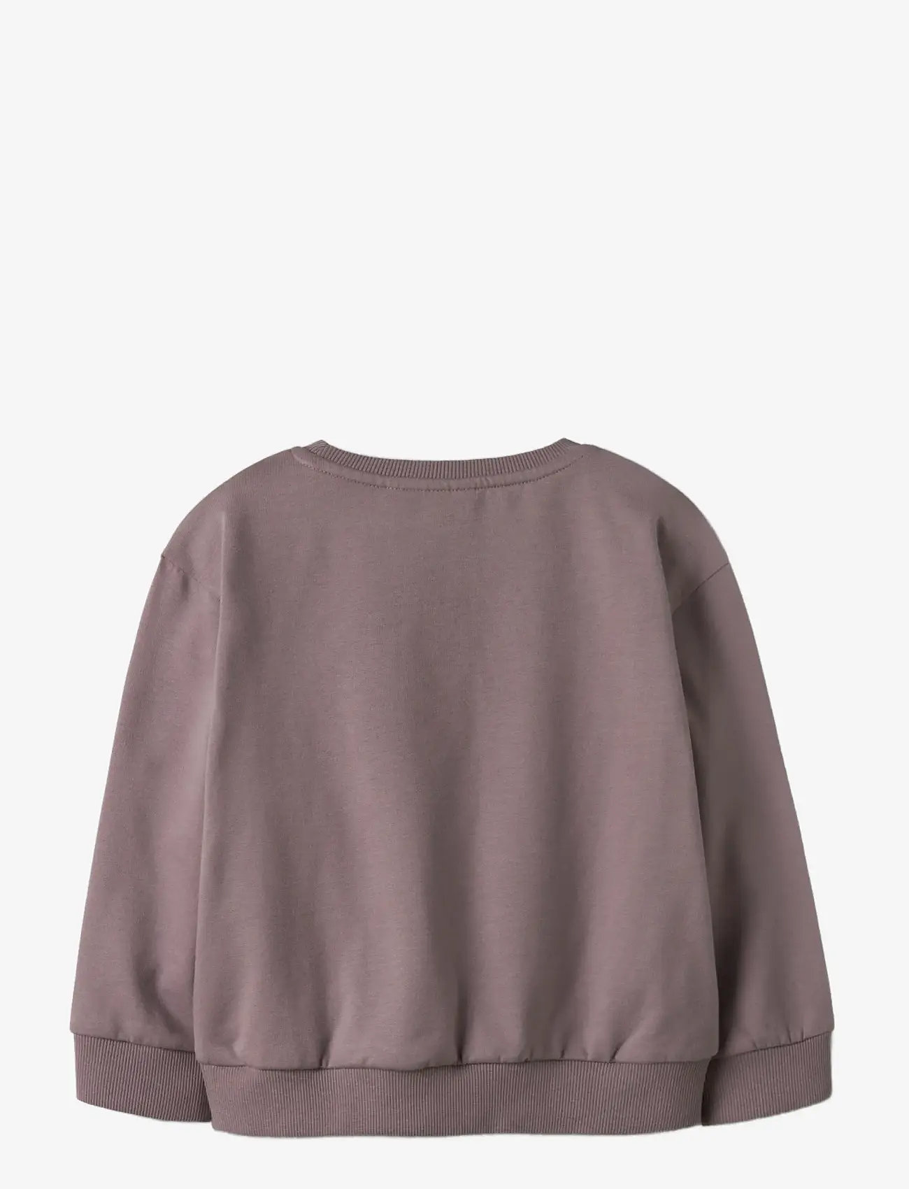 name it - NMFVILOUI LS RLX SWEAT BRU - efterårstøj - toadstool - 1