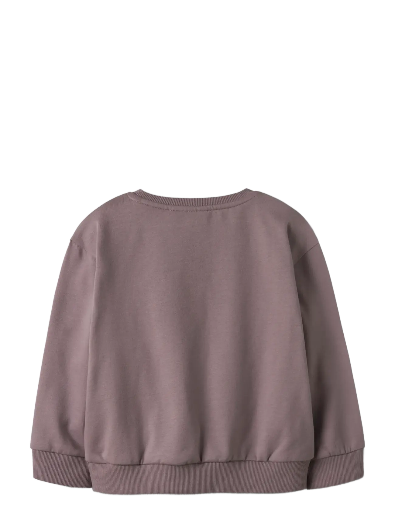 name it - NMFVILOUI LS RLX SWEAT BRU - sweatshirts - toadstool - 2