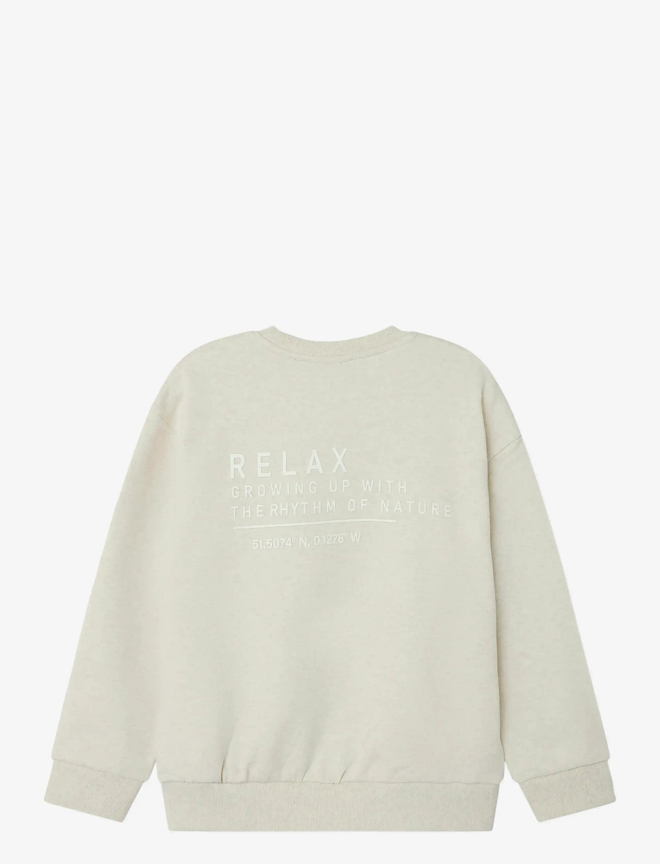 name it - NKMNAKRAVE LS RLX SWEAT BRU - sweatshirts - peyote melange - 1