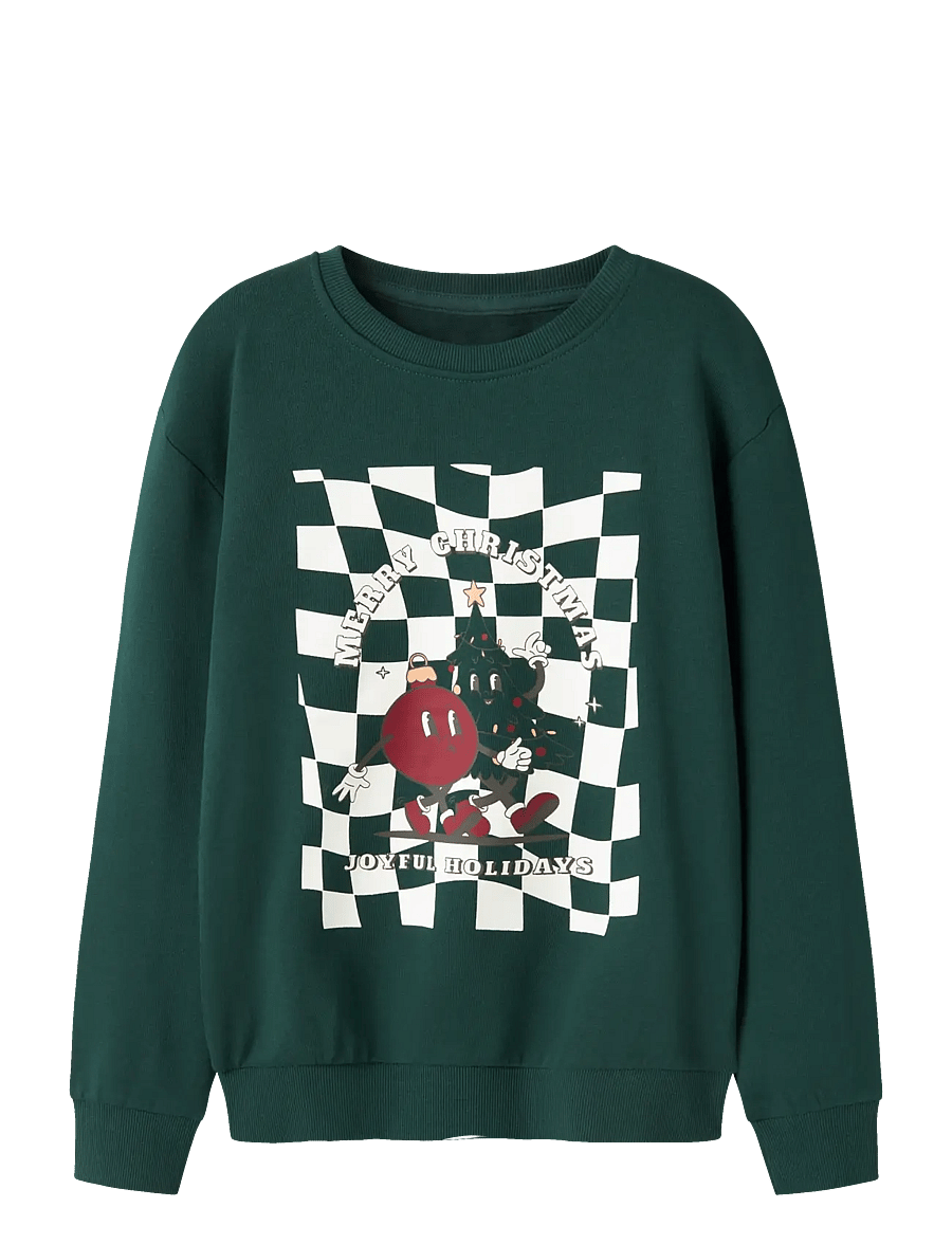 name it - NKMVISMAS LS NREG SWEAT BRU - dressipluusid - botanical garden - 0