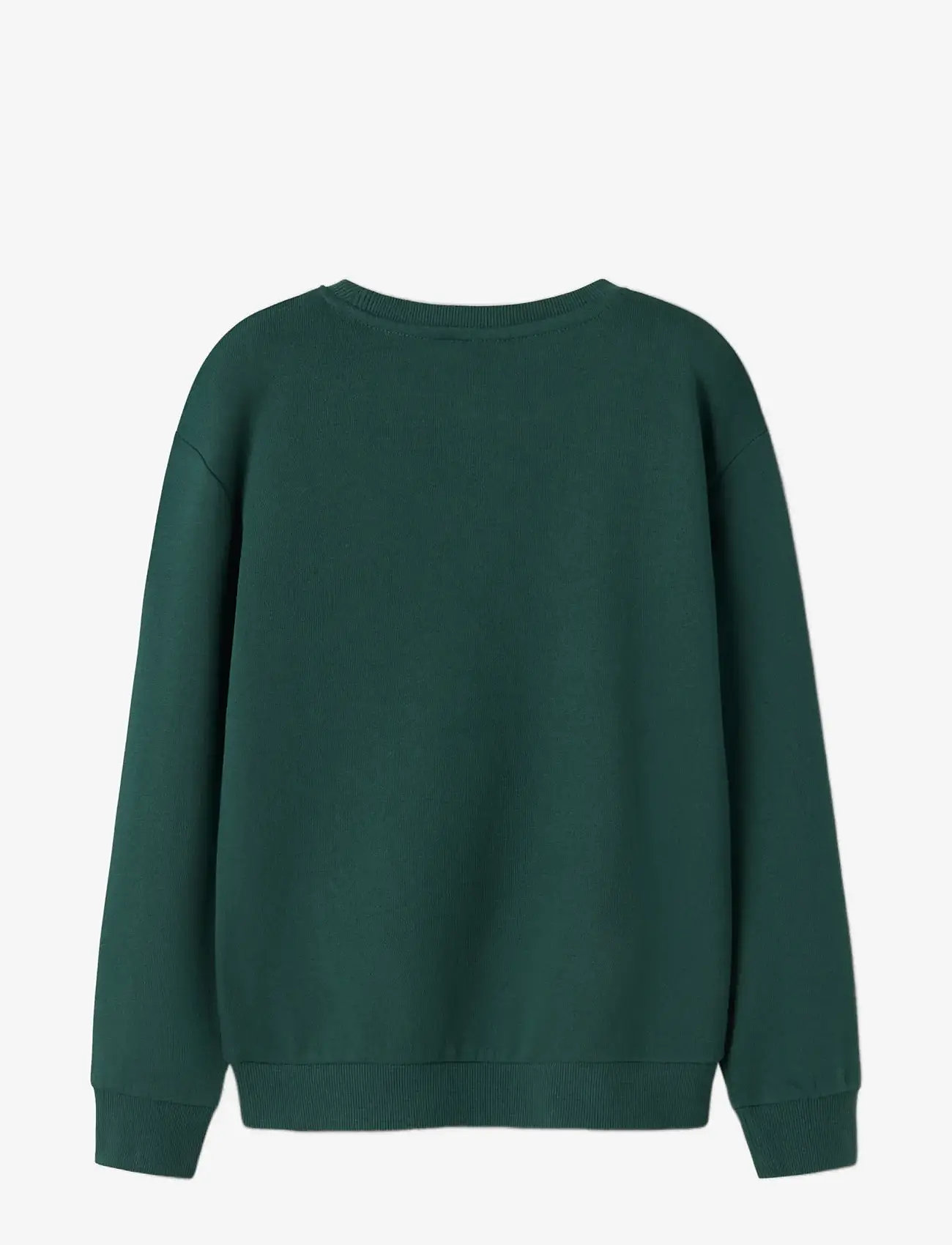 name it - NKMVISMAS LS NREG SWEAT BRU - sweatshirts - botanical garden - 1