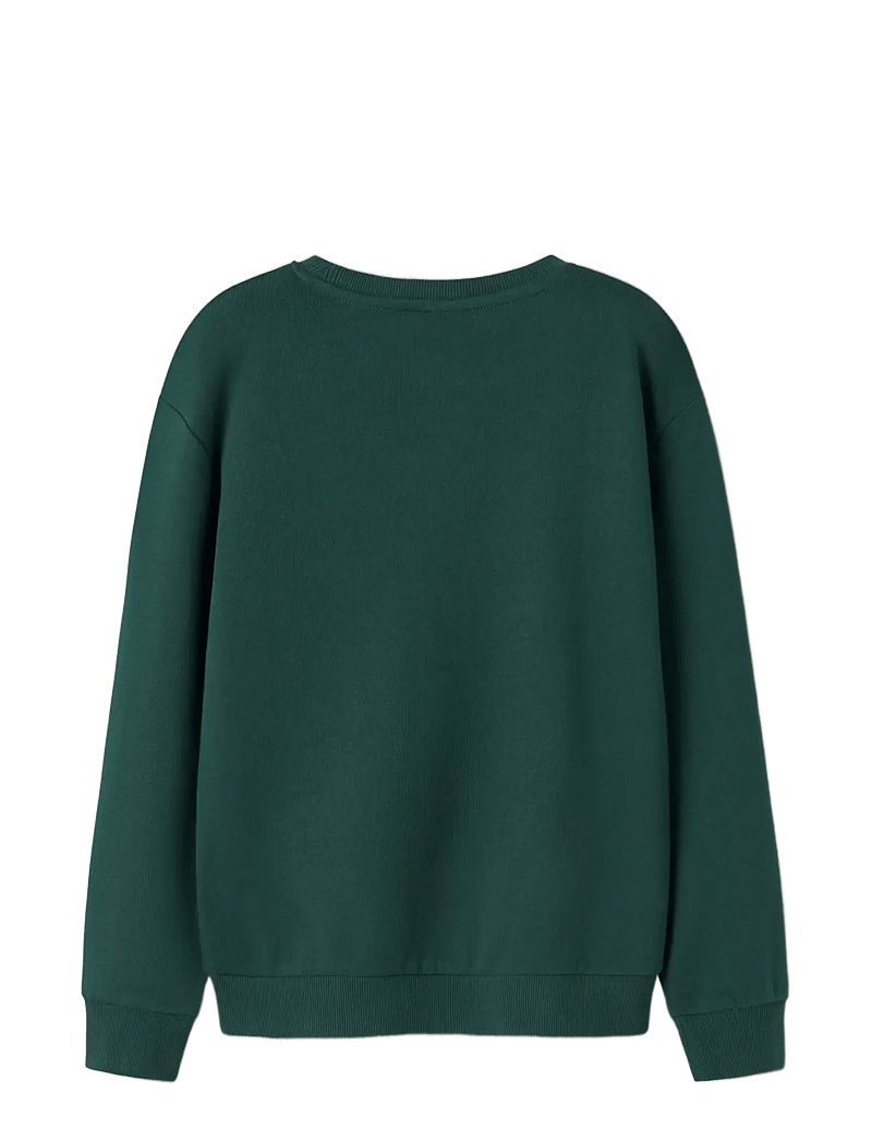 name it - NKMVISMAS LS NREG SWEAT BRU - sweatshirts - botanical garden - 1