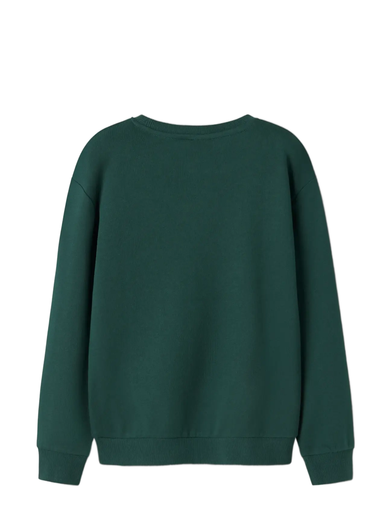 name it - NKMVISMAS LS NREG SWEAT BRU - sweatshirts - botanical garden - 1