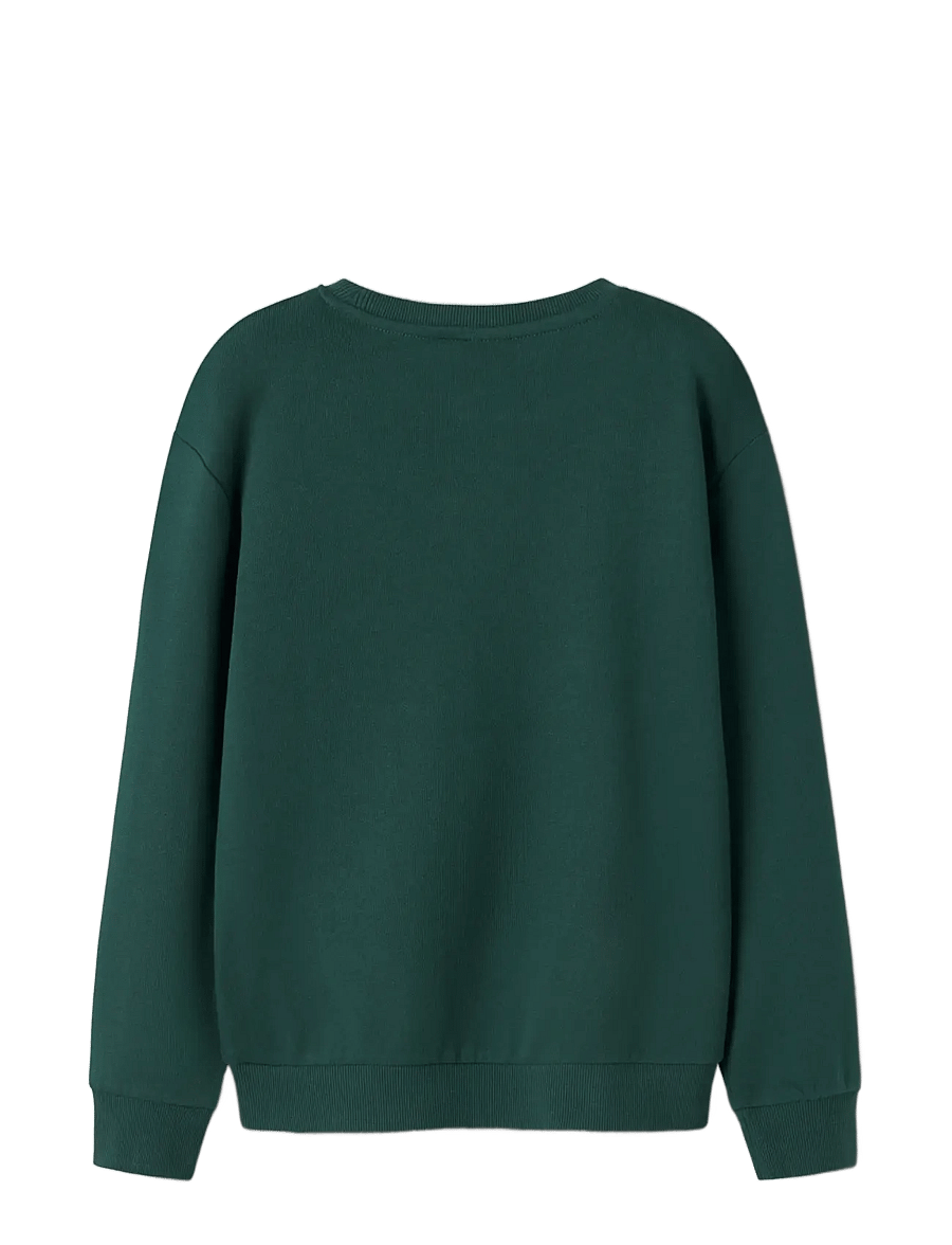 name it - NKMVISMAS LS NREG SWEAT BRU - dressipluusid - botanical garden - 1