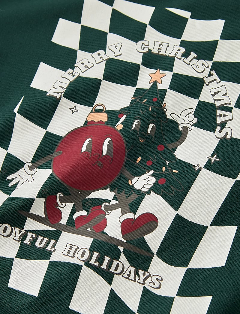 name it - NKMVISMAS LS NREG SWEAT BRU - sweatshirts - botanical garden - 2