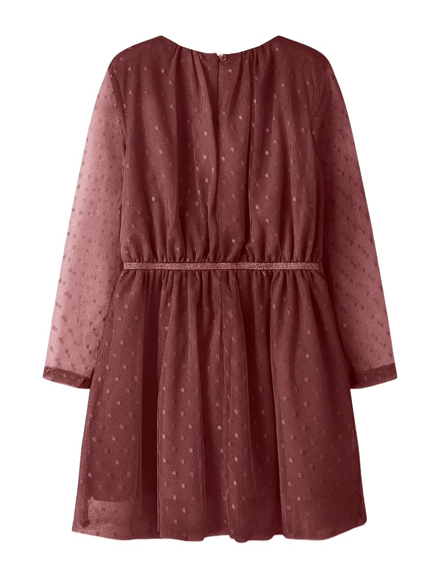 name it - NKFVABOS LS DRESS NOOS - festkjoler - wild ginger - 1