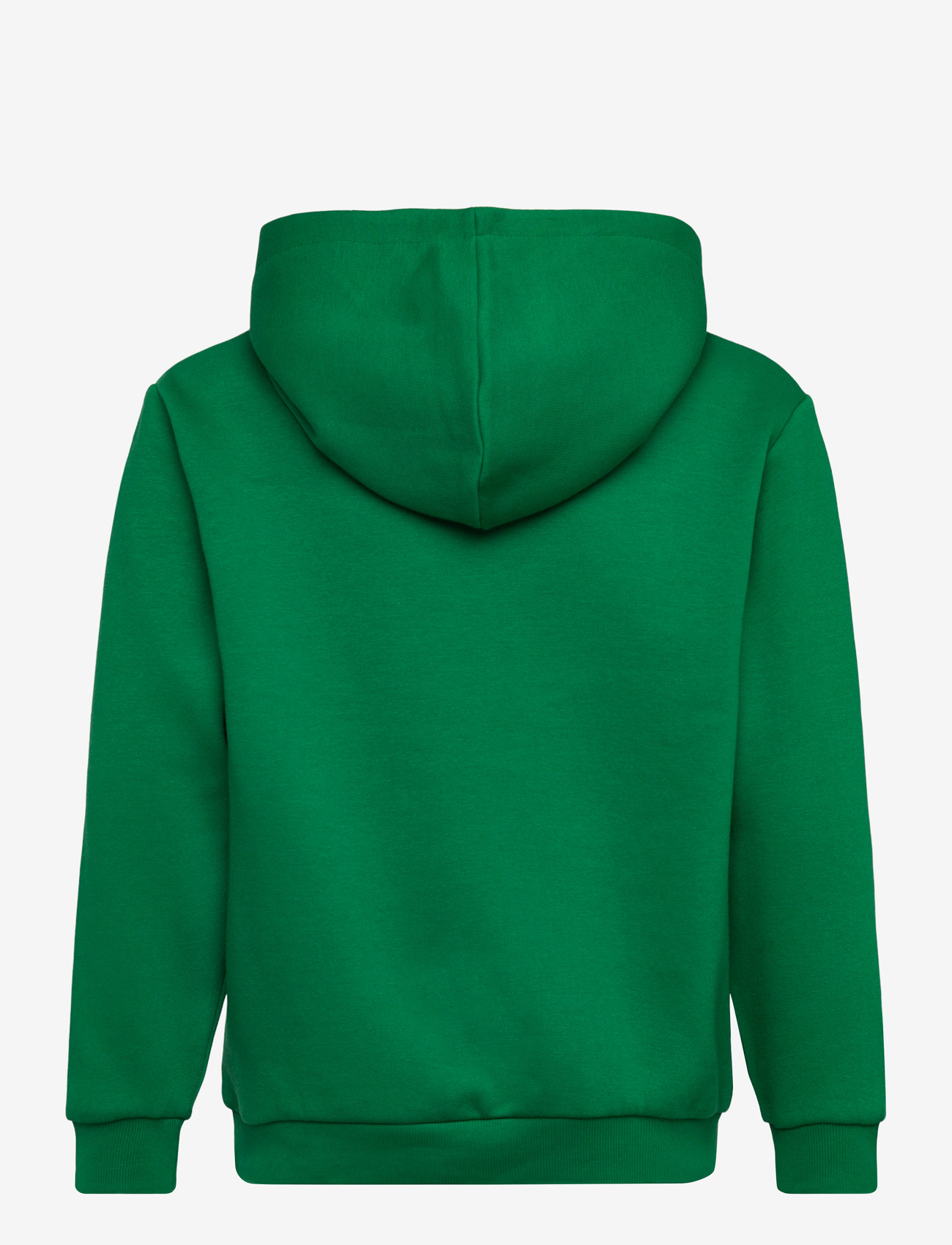 name it - NKMBRODY LS NREG SWEAT WH BRU NOOS - kapuutsiga dressipluusid - verdant green - 1