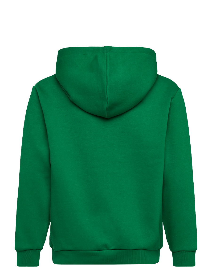 name it - NKMBRODY LS NREG SWEAT WH BRU NOOS - kapuzenpullover - verdant green - 1