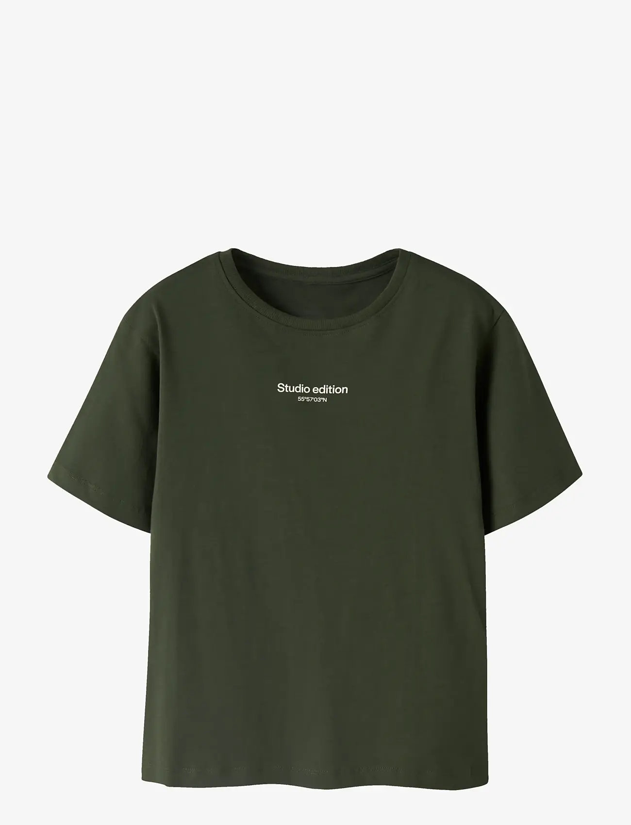 name it - NKMBRODY SS NREG TOP NOOS - kortærmede t-shirts - rifle green - 1