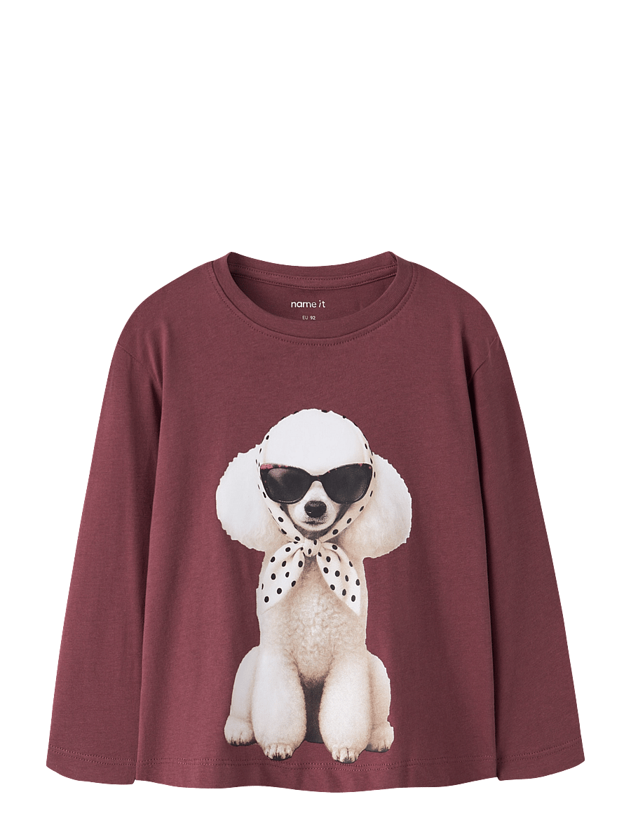 name it - NMFVOTEA LS NREG TOP - pikkade varrukatega t-särgid - wild ginger - 0