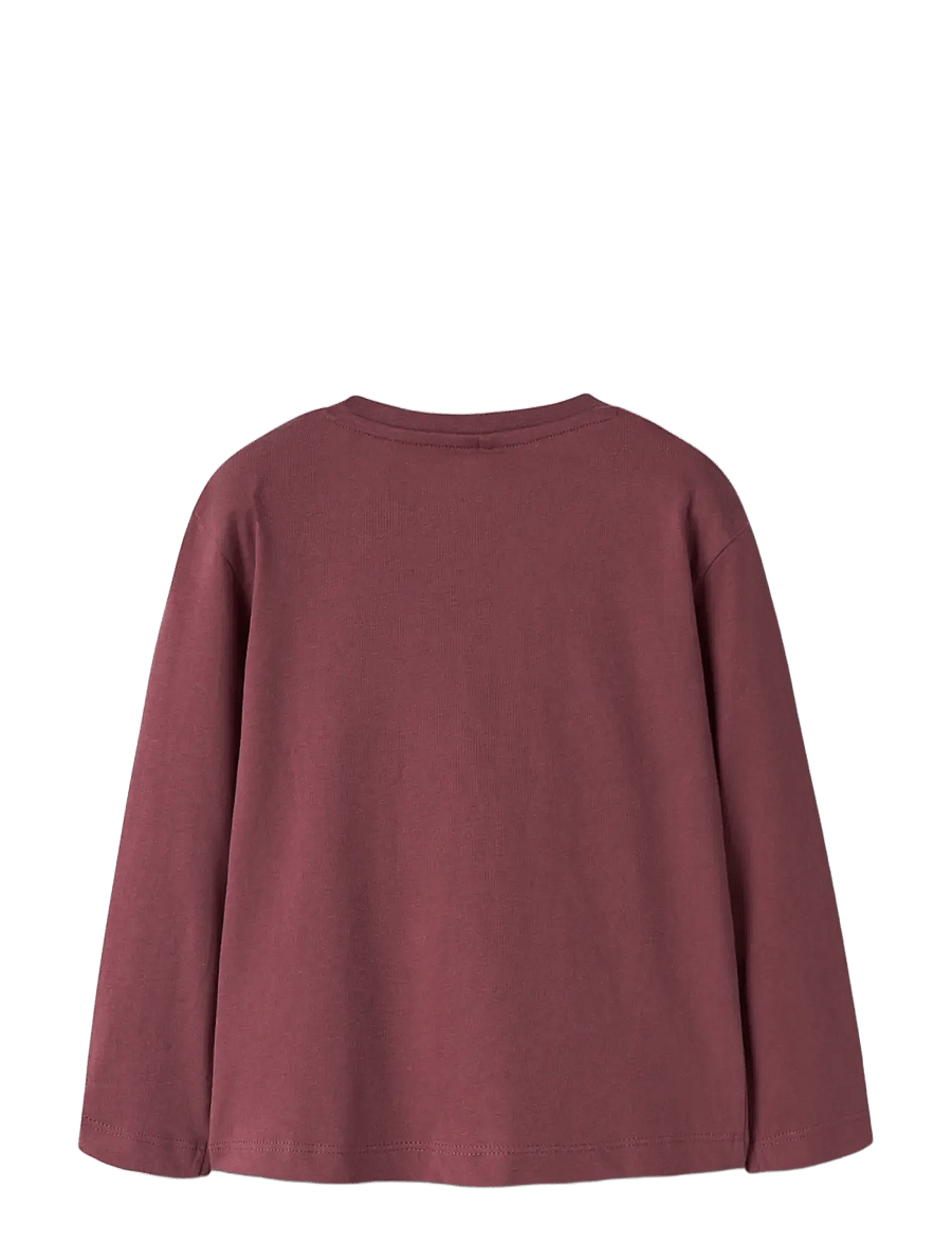 name it - NMFVOTEA LS NREG TOP - pikkade varrukatega t-särgid - wild ginger - 1