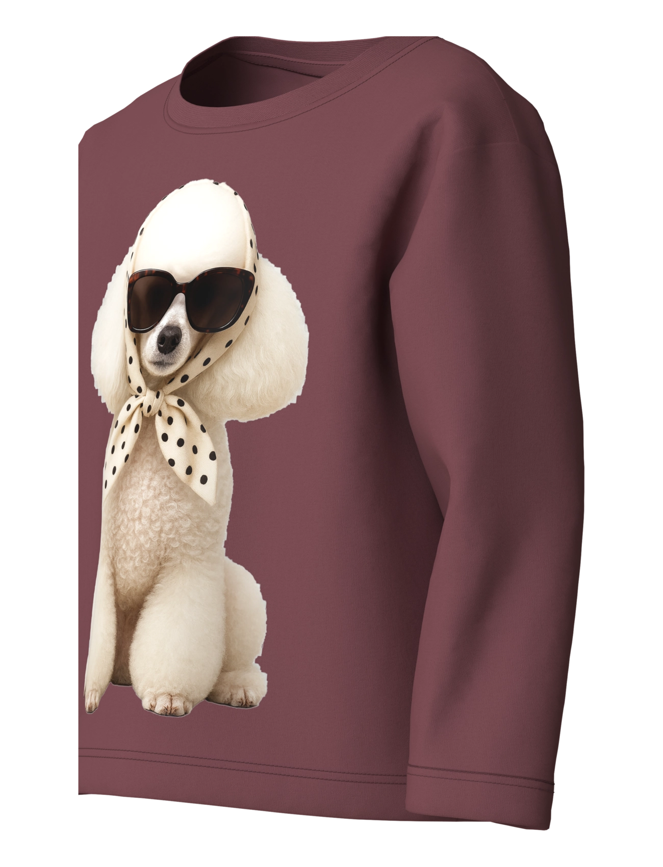 name it - NMFVOTEA LS NREG TOP - pikkade varrukatega t-särgid - wild ginger - 2