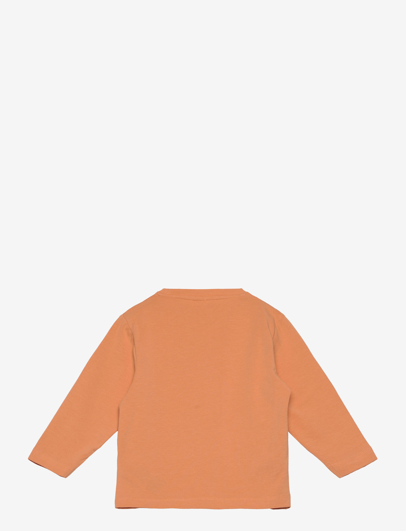 name it - NMMTHORHIM NREG LS TOP BOX - efterårstøj - gold earth - 1